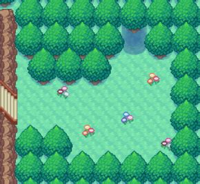 pokemon insurgence secret base.
